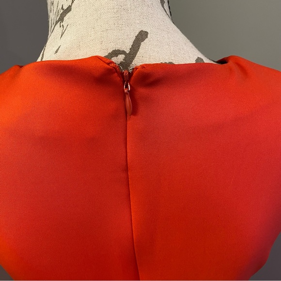 NWOT NY&Co. Belted Midi Dress - Picture 5 of 6